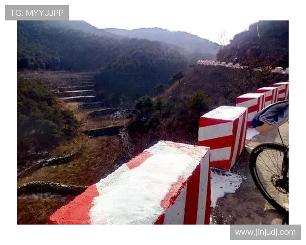 弗莱肯深刻自评：我是我们问题的缩影